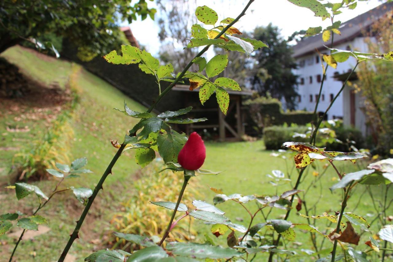 Casa Aconchegante No Capivari Campos do Jordão Exteriör bild