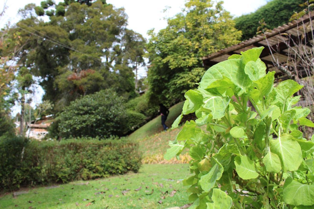 Casa Aconchegante No Capivari Campos do Jordão Exteriör bild